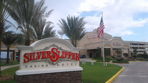 Silver Slipper